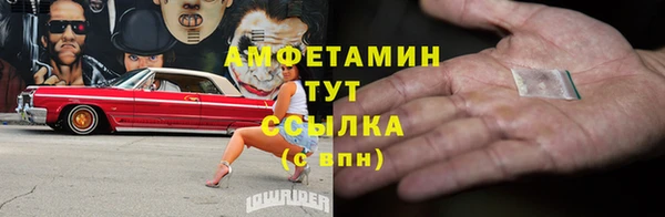 СК Пересвет