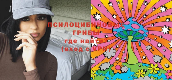 МДПВ Володарск