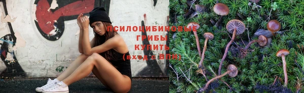 МДПВ Володарск