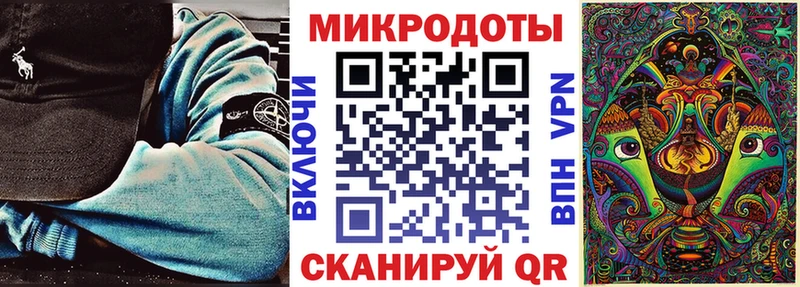 Купить  Котлас  Галлюциногенные грибы Psilocybe 